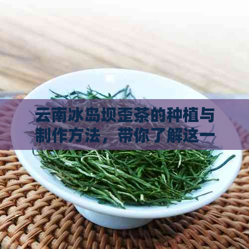 云南冰岛坝歪茶的种植与制作方法，带你了解这一独特茶叶品种。