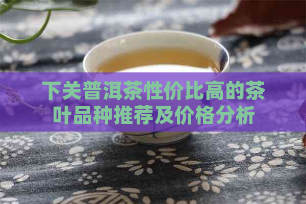 下关普洱茶性价比高的茶叶品种推荐及价格分析