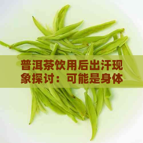 普洱茶饮用后出汗现象探讨：可能是身体调节机制的体现