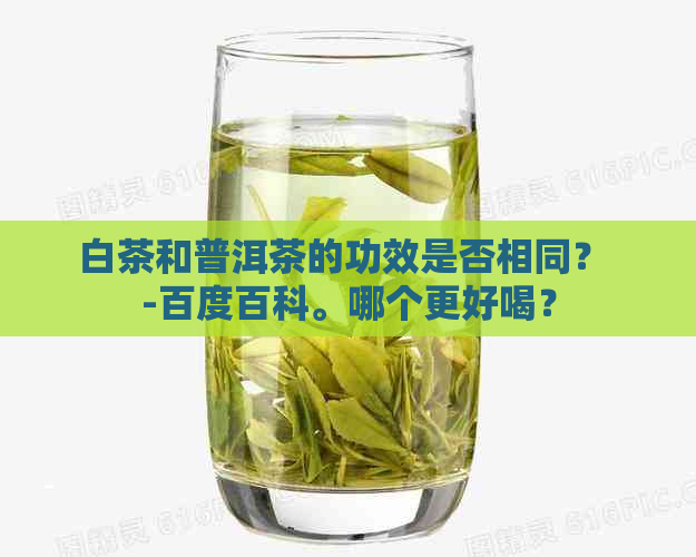 白茶和普洱茶的功效是否相同？ -百度百科。哪个更好喝？