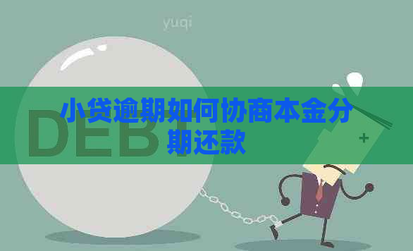 小贷逾期如何协商本金分期还款