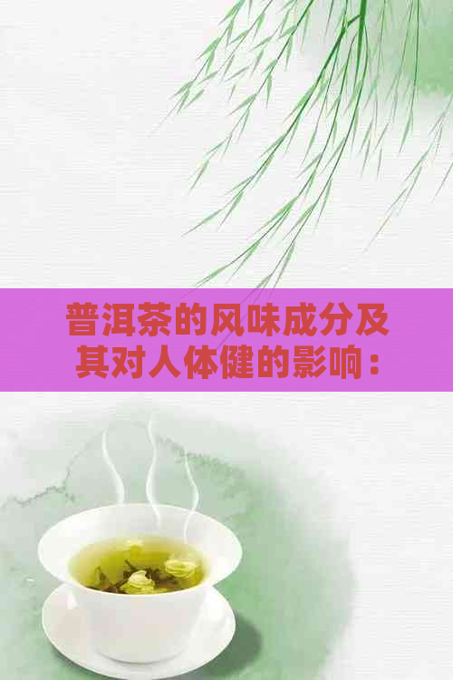 普洱茶的风味成分及其对人体健的影响：一篇全面解析