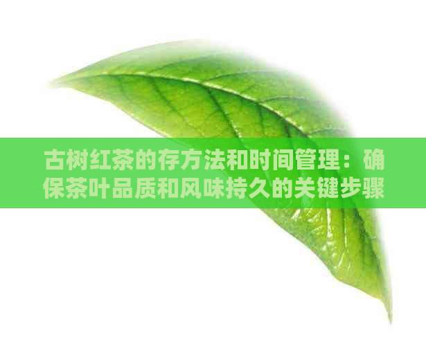 古树红茶的存方法和时间管理：确保茶叶品质和风味持久的关键步骤