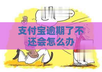 支付宝逾期了不还会怎么办