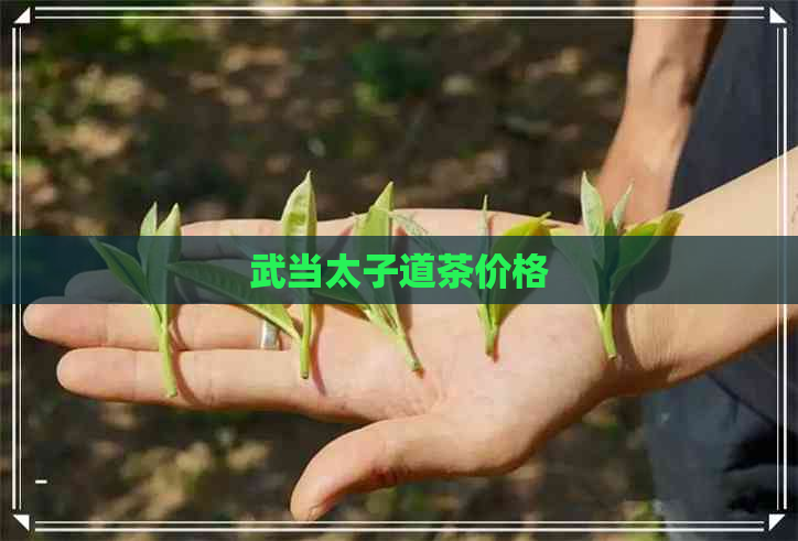 武当太子道茶价格