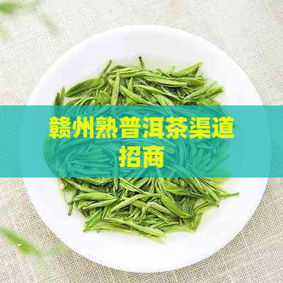 赣州熟普洱茶渠道招商