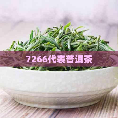 7266代表普洱茶