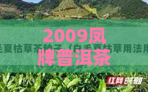 2009凤牌普洱茶