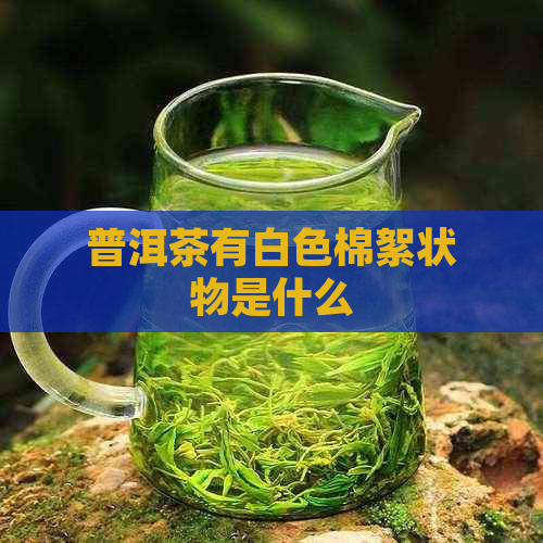 普洱茶有白色棉絮状物是什么