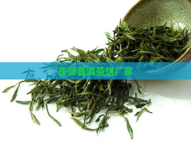 东营普洱茶饼厂家