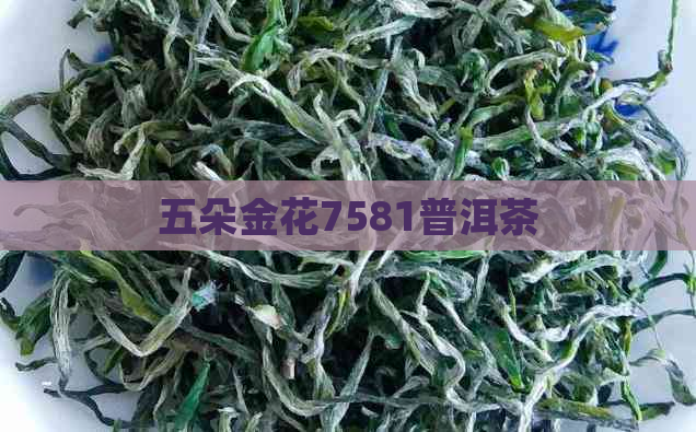 五朵金花7581普洱茶