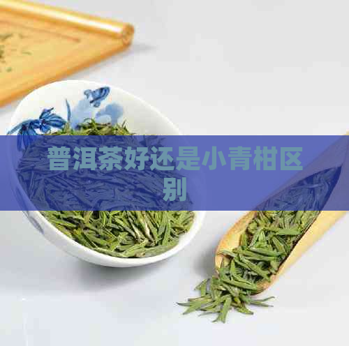 普洱茶好还是小青柑区别