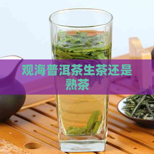 观海普洱茶生茶还是熟茶