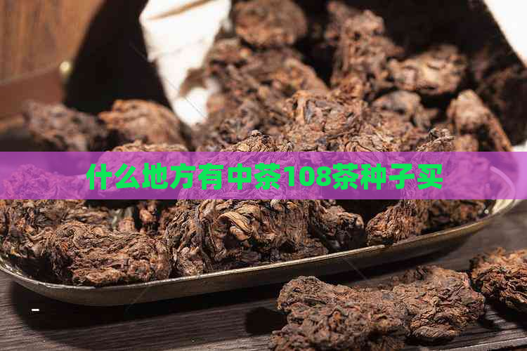 什么地方有中茶108茶种孑买