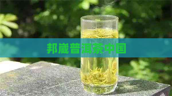 邦崴普洱茶中国