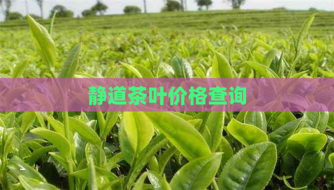 静道茶叶价格查询