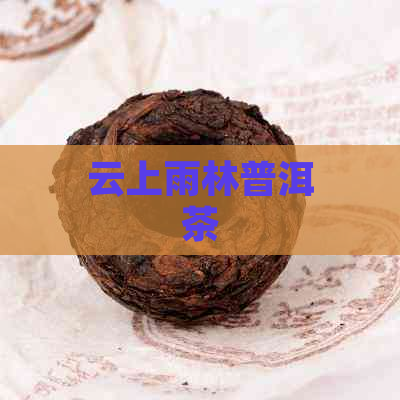 云上雨林普洱茶