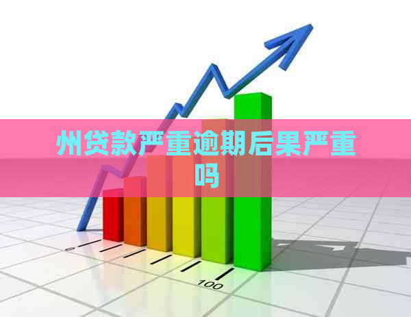 州贷款严重逾期后果严重吗