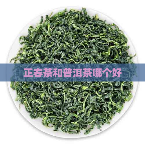 正春茶和普洱茶哪个好