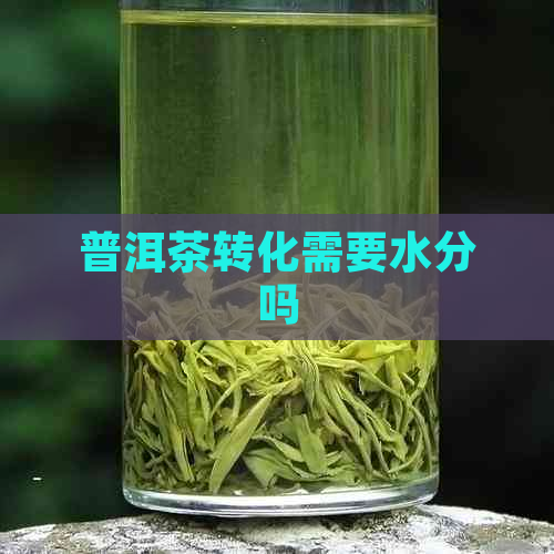 普洱茶转化需要水分吗