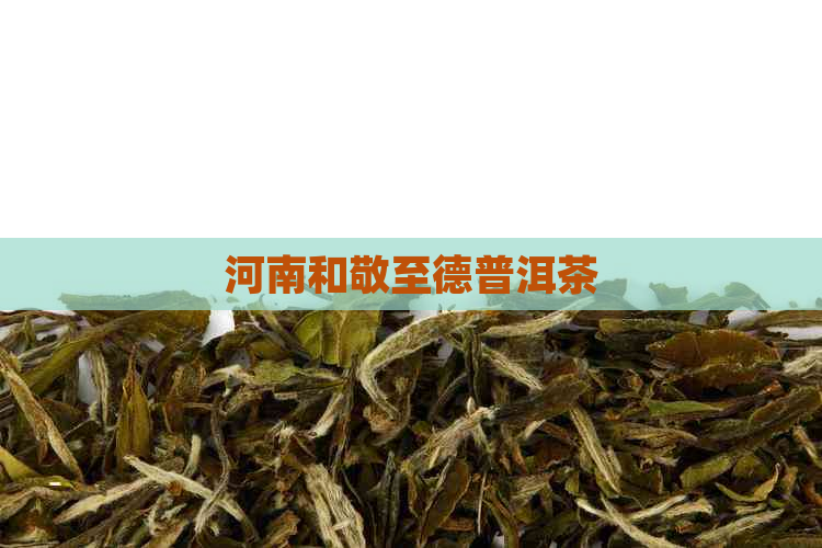 河南和敬至德普洱茶