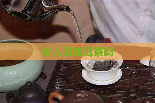 有人喝普洱茶吗