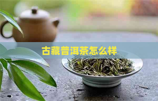 古藏普洱茶怎么样