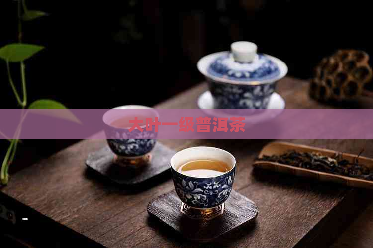 大叶一级普洱茶