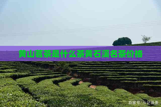 黄山茗茶是什么茶黄石溪名茶价格