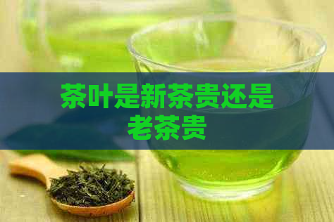 茶叶是新茶贵还是老茶贵