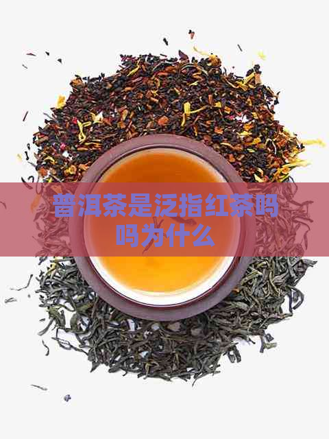 普洱茶是泛指红茶吗吗为什么