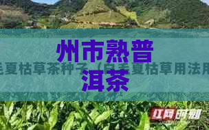 州市熟普洱茶