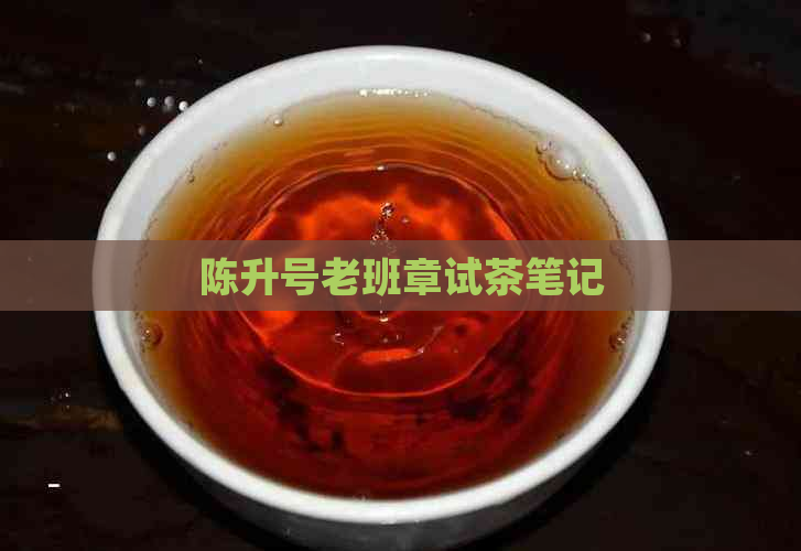 陈升号老班章试茶笔记