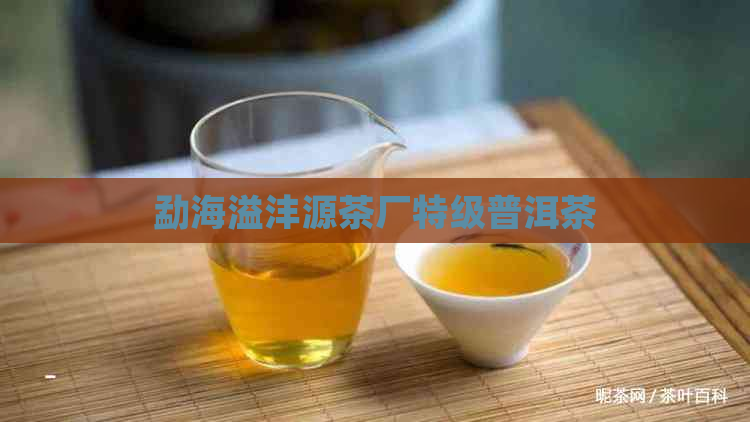 勐海溢沣源茶厂特级普洱茶