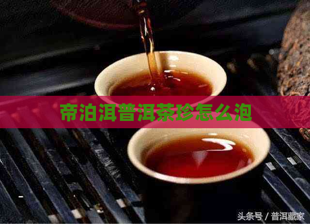 帝泊洱普洱茶珍怎么泡