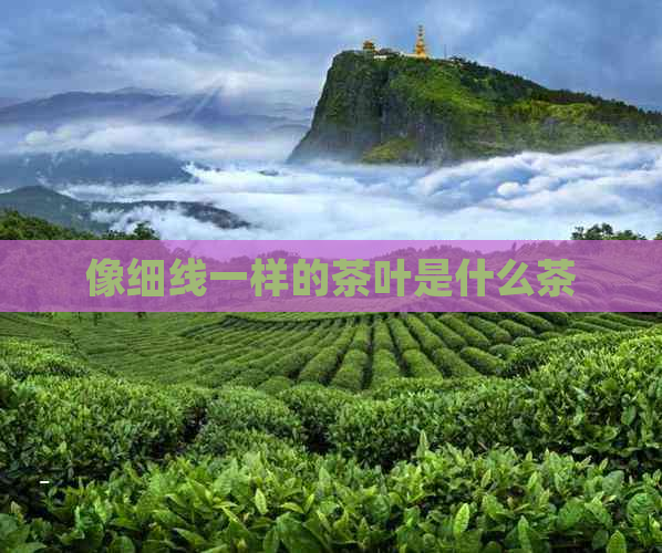 像细线一样的茶叶是什么茶