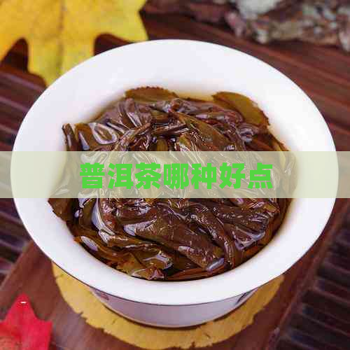 普洱茶哪种好点