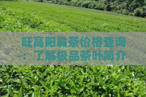 旺高阳扁茶价格查询：了解极品茶叶简介及品质，评价高阳扁茶怎么样。