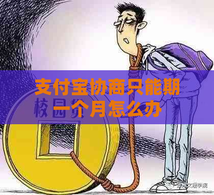 支付宝协商只能期一个月怎么办