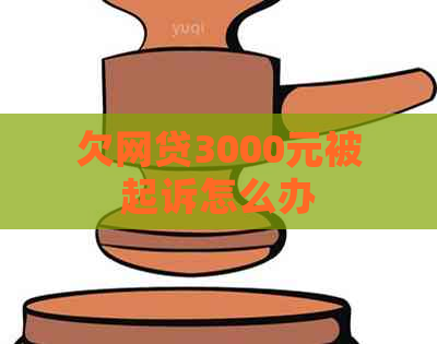 欠网贷3000元被起诉怎么办