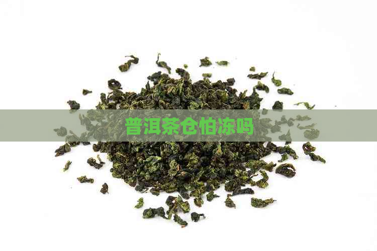 普洱茶仓怕冻吗