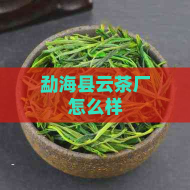 勐海县云茶厂怎么样