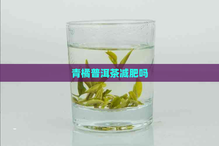 青橘普洱茶减肥吗