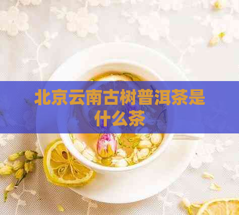 北京云南古树普洱茶是什么茶