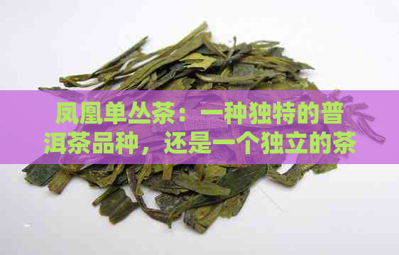 凤凰单丛茶：一种独特的普洱茶品种，还是一个独立的茶类？