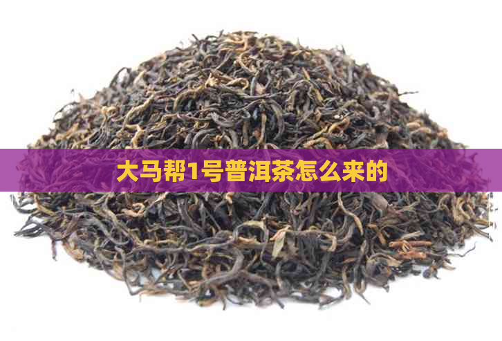 大马帮1号普洱茶怎么来的