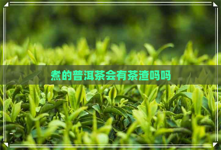 煮的普洱茶会有茶渣吗吗