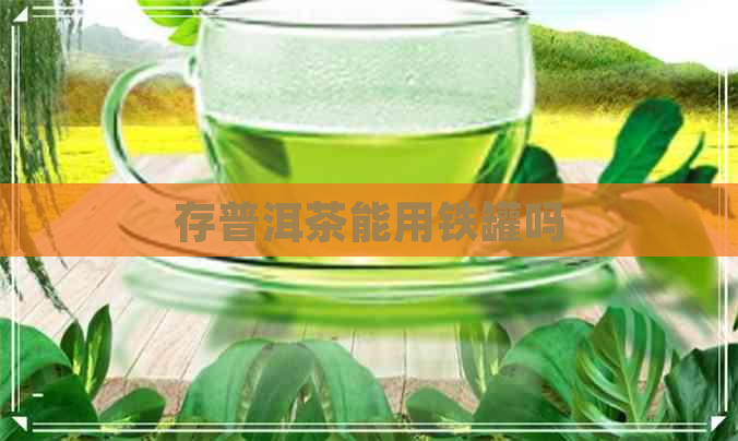 存普洱茶能用铁罐吗