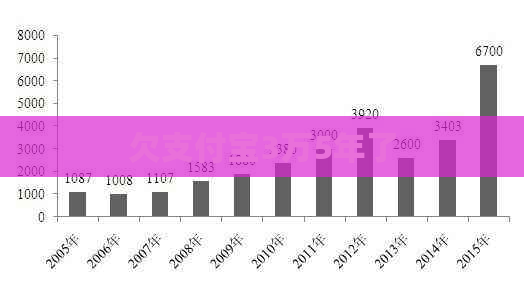 欠支付宝3万5年了