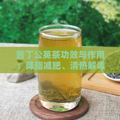 苦丁公英茶功效与作用：降脂减肥、清热解、润肺止咳。